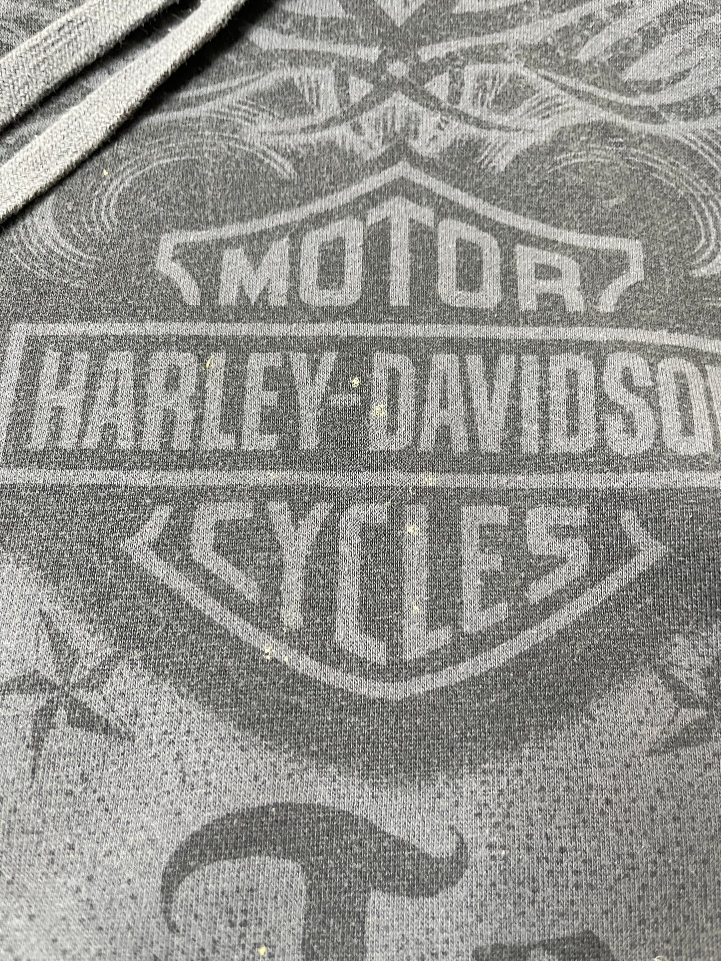 (M) Y2K HARLEY DAVISON HOODIE