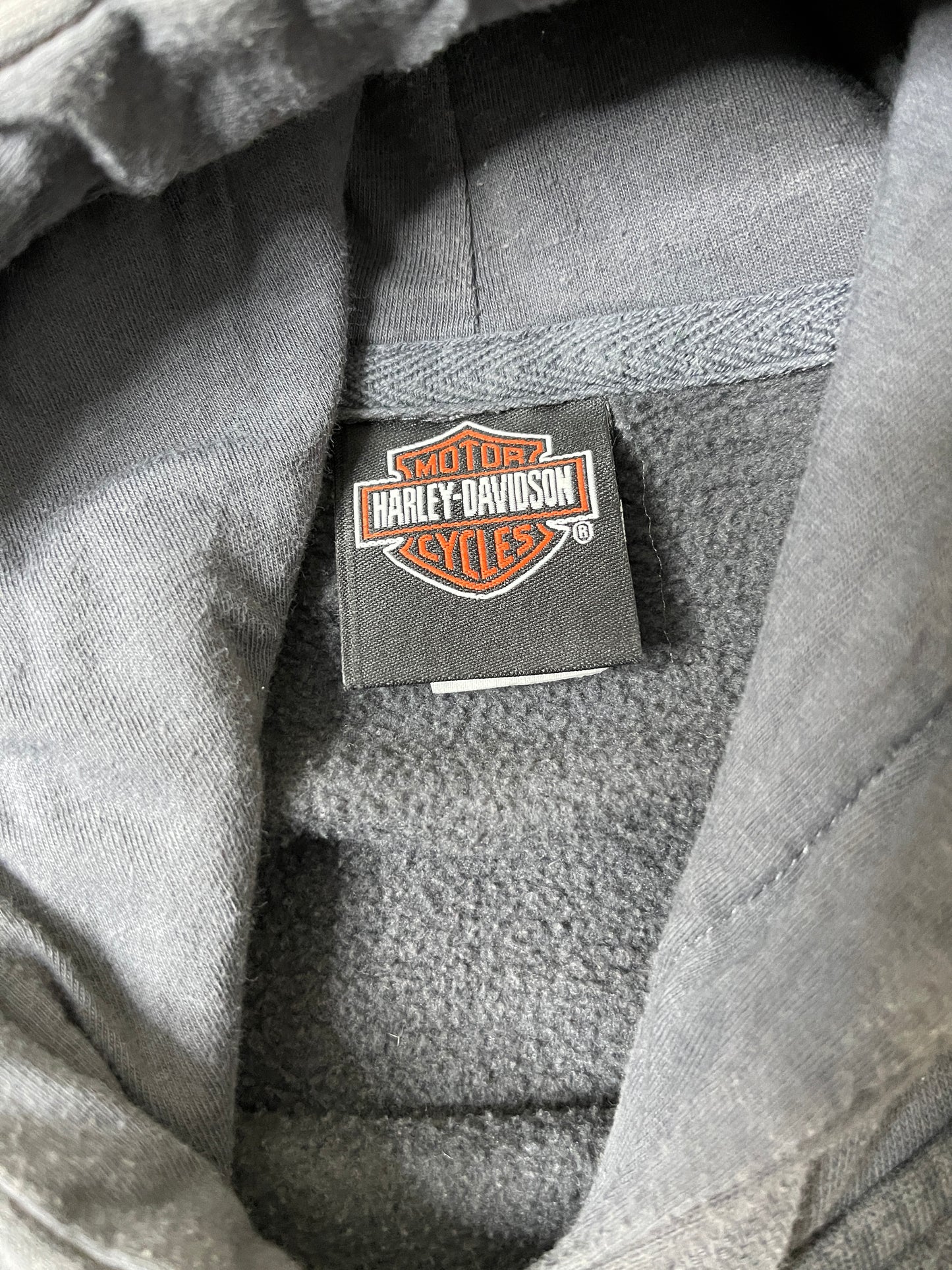 (M) Y2K HARLEY DAVISON HOODIE